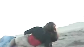 Breezy Beach Frolicking By Randy Newcomers