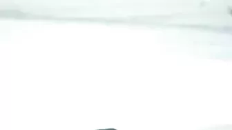 Breezy Beach Frolicking By Randy Newcomers