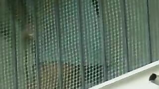 Voisin upskirt vidéo