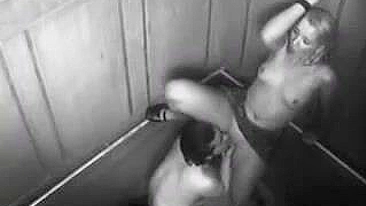 Security Camera Caught Rad Exhibitionist Couple Porking In Elevator