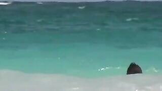 Sexy Topless Bathing Beauties On Nude Beach, Caught On Voyeur Cam!