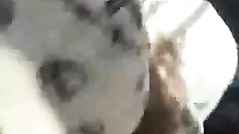 Check Out The Hot Blowjob Given By A Bfs In A Ski Cabin