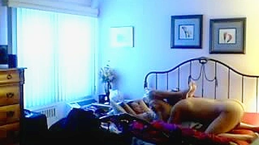 Sneaky Wet Secret Fox In Hidden Camera