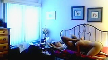 Sneaky Wet Secret Fox In Hidden Camera