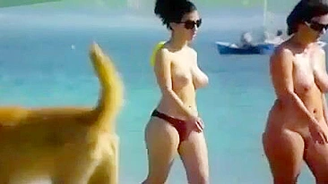 Nude Beach Big Tits Women Walking Video Clip