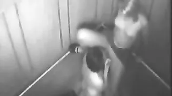 Spycam in the Elevator Horny Amateur Couple Caught Fucking