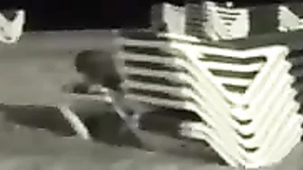 Voyeur Beach Cam Video Couple Spied on Beach Having Sex