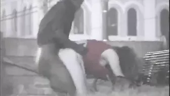 Voyeur Spy Camera Interracial Couple Fucking in Public Park