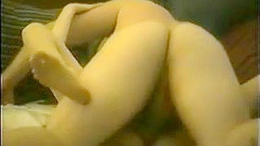 Stealthy Mobile Cam Captures Hot Lover Sex