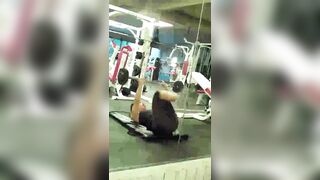 Hot Girl's Tight Pants Exposed At Gym Captured By Secret Camera