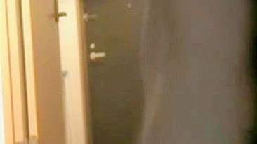 Hot Jap Lady Flashes For Delivery Guy On Voyeur Cam, Oh My!