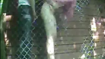 Horny Russian Fuckers Banging Outdoor On Hidden Cam