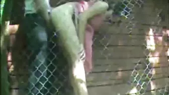 Horny Russian Fuckers Banging Outdoor On Hidden Cam