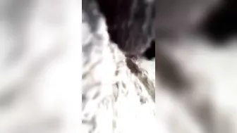 Fucking that tight cunt sister from behind to make her scream louder