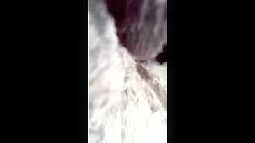 Fucking that tight cunt sister from behind to make her scream louder