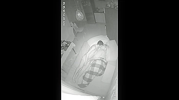 INCEST ALERT on IP camera just went off and that was what it recorded