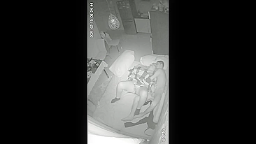 INCEST ALERT on IP camera just went off and that was what it recorded