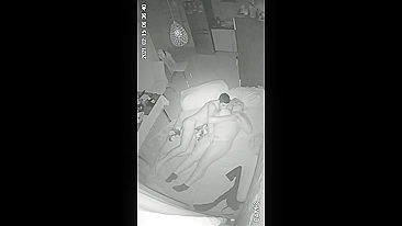 INCEST ALERT on IP camera just went off and that was what it recorded