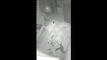 INCEST ALERT on IP camera just went off and that was what it recorded