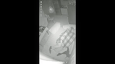 INCEST ALERT on IP camera just went off and that was what it recorded