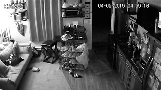 Spicy leaked video featuring real incest sex with a granddaughter fucking