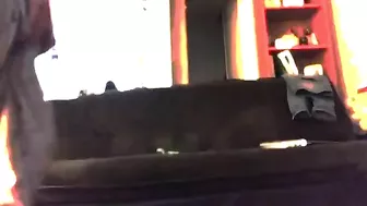 Sculpted MILF hates pranks but enjoys fucking her own stepson though