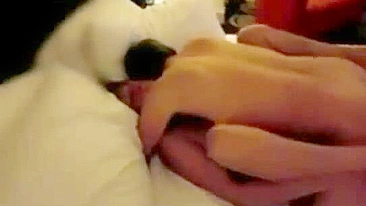 Real mommy and son superfuck scene with missionary loving on a bed