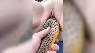 Fishing fucking session with a mommy who goes wild in a taboo movie