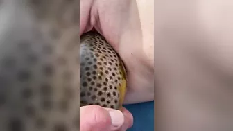 Fishing fucking session with a mommy who goes wild in a taboo movie