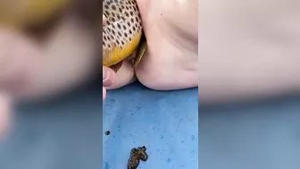 Fishing fucking session with a mommy who goes wild in a taboo movie