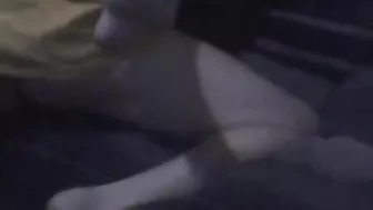 Dude  plants his lips on her nipple and they start fucking real hard