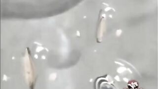 Sister busted masturbating in a taboo super hot porn movie in HD quality