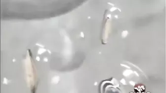 Sister busted masturbating in a taboo super hot porn movie in HD quality