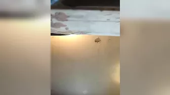 She is going to remember this fucking session with her lesbian sister