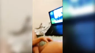 Sister is going to get punished by her brother who really enjoys incest