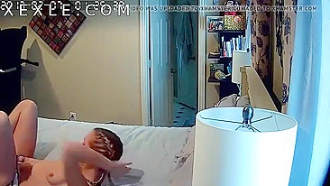 Stepdad's Hidden Cam Captures Stepdaughter's Intense Solo Climax - HCM Porn