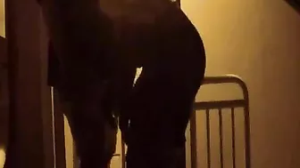 Daddy’s Dick Down My Throat While I Fingered Myself, Till My Sneaky Brother Filmed The Whole Fuck